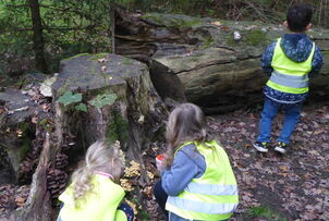 Waldtag in der Kita Tabaluga – jede Woche ein neues Abenteuer