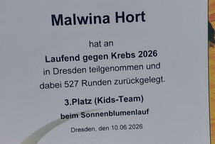 Laufend gegen Krebs - Gemeinsam für den guten Zweck