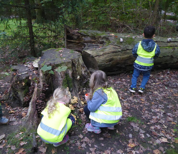 Waldtag in der Kita Tabaluga – jede Woche ein neues Abenteuer