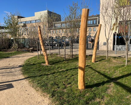 Die Kita Marta verschönert und belebt ihren Außenbereich