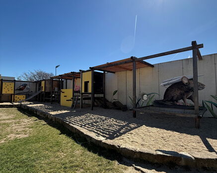 Die Kita Marta verschönert und belebt ihren Außenbereich